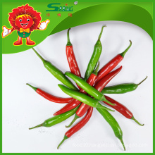 Fresh Cherry Peppers RED/GREEN Chilli Peppers